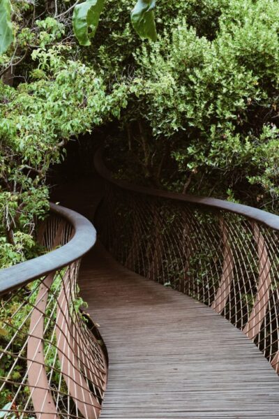 Kirstenbosch wat te doen in scheveningen