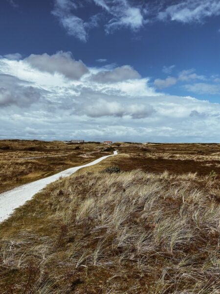 Terschelling op vakantie naar terschelling