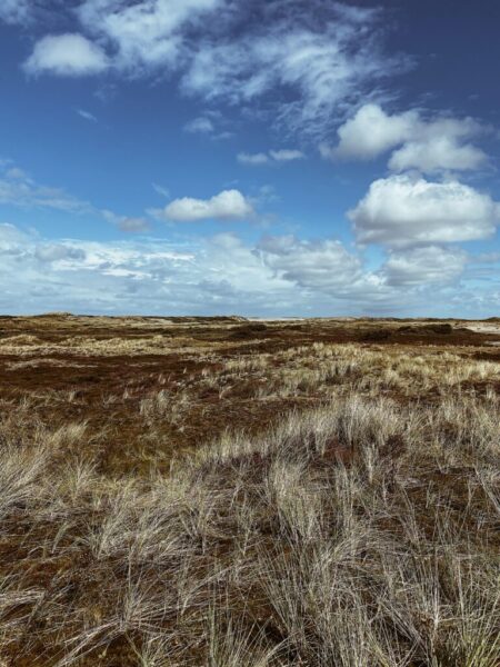 Terschelling op vakantie naar terschelling