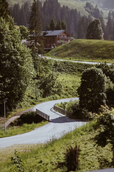 Oostenrijk de natuur staat volop in bloei